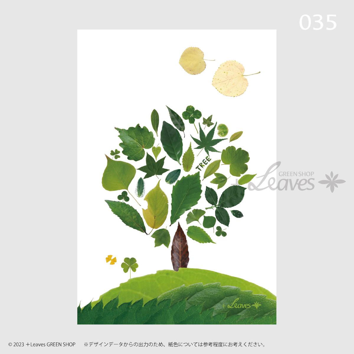 035 GREEN TREE 葉っぱアートポストカード【クリックポスト対応：可/1通40枚まで】 | 2枚目