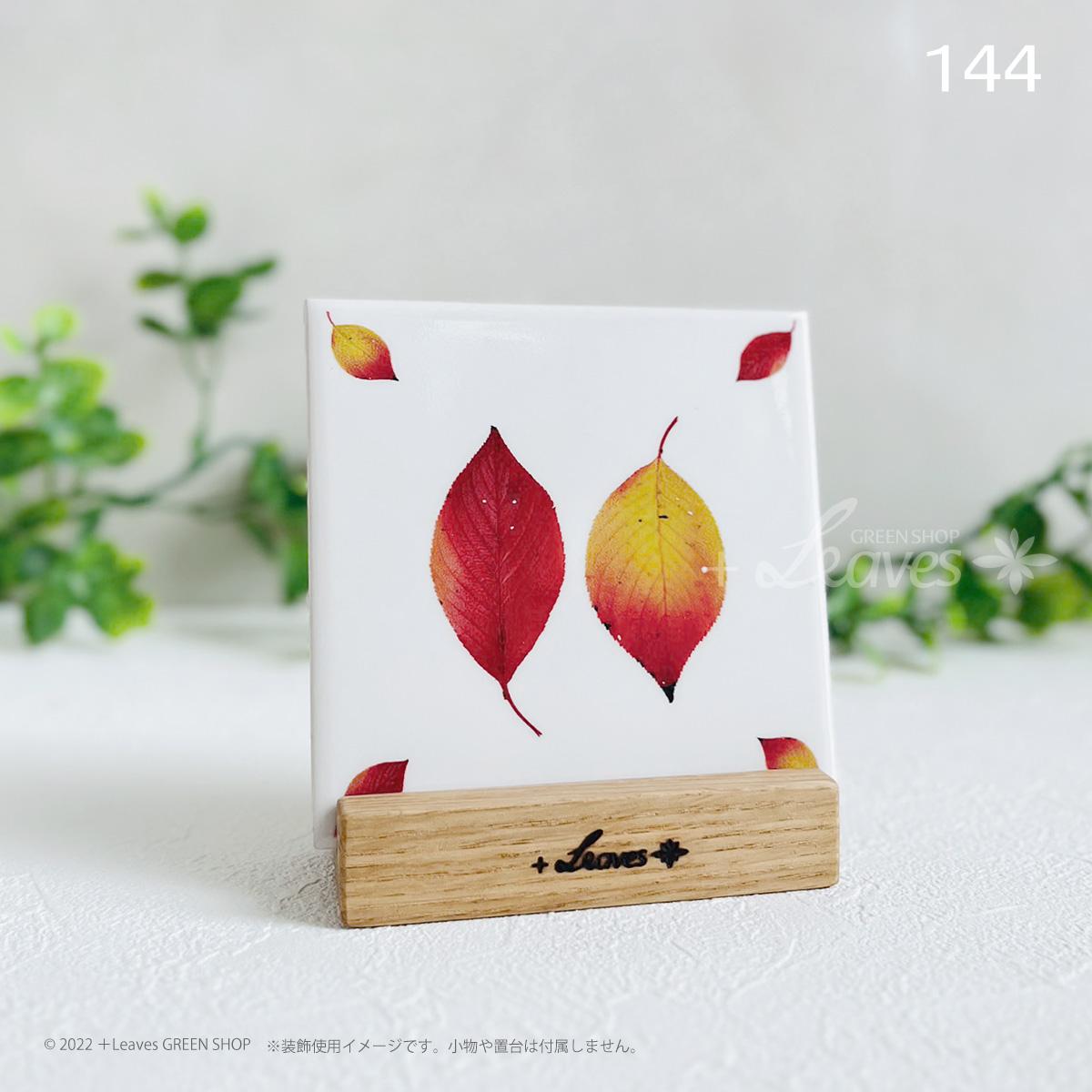 144 葉っぱタイル・サクラ (屋内壁用100角・1枚・プリントデザインタイル)紅葉 秋