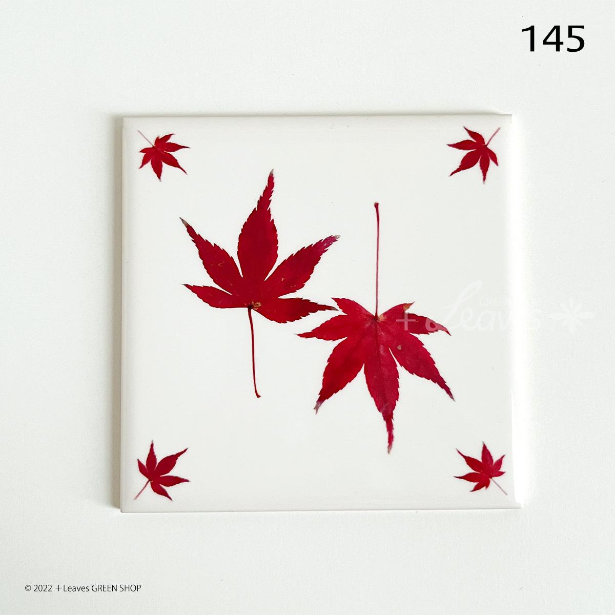 145 葉っぱタイル・モミジ (屋内壁用100角・1枚・プリントデザインタイル)紅葉 秋 | 2枚目